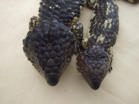 Shingleback photo