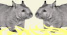 Science photo