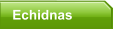 Echidnas