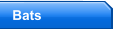 Bats