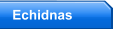 Echidnas
