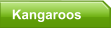Kangaroos