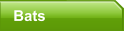 Bats