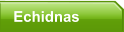Echidnas