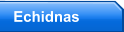 Echidnas