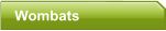 Wombats