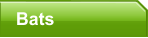 Bats