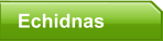 Echidnas