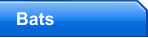 Bats