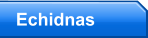 Echidnas