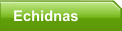 Echidnas