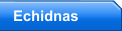 Echidnas