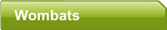 Wombats