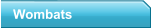 Wombats