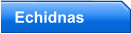 Echidnas