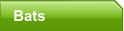 Bats