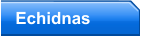 Echidnas