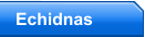 Echidnas